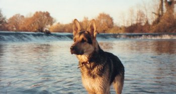 The Vidourle